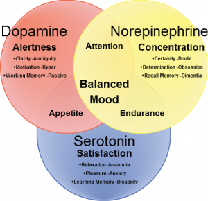 Life as a Chemical Experience