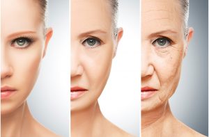 Aging Without Estrogen