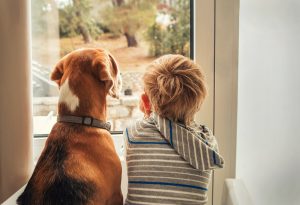 Telling the Children When a Pet Dies